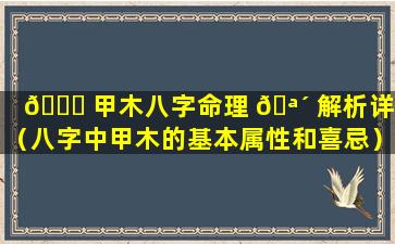 🐘 甲木八字命理 🪴 解析详解（八字中甲木的基本属性和喜忌）